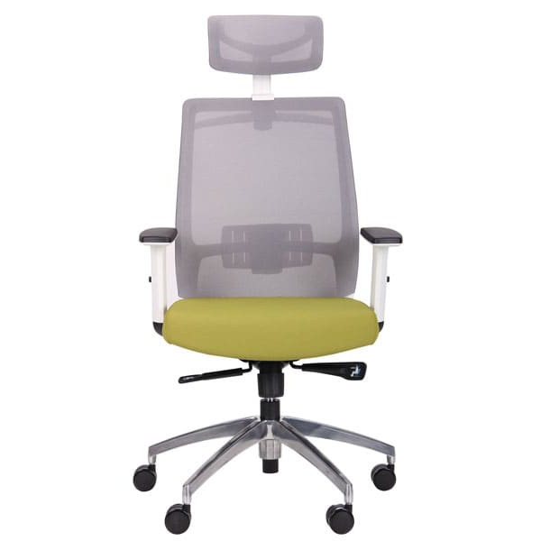 Крісло АМФ Install White Alum Grey/Green-1