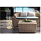 Кофейный cтол Arhome Animal SM225 Gold-2-thumb