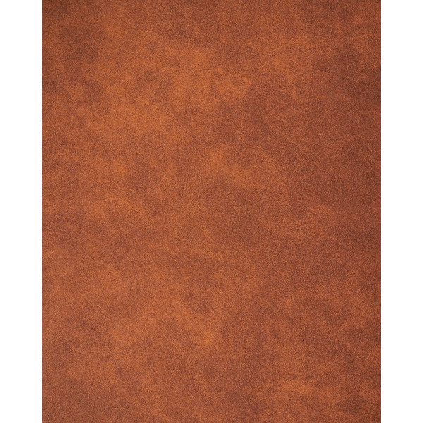 Диван 2-местный La Forma VINNY S490PT86 Светло-коричневый 183 см-10