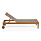 Шезлонг La Forma CATERIN CC2158J19-6-thumb