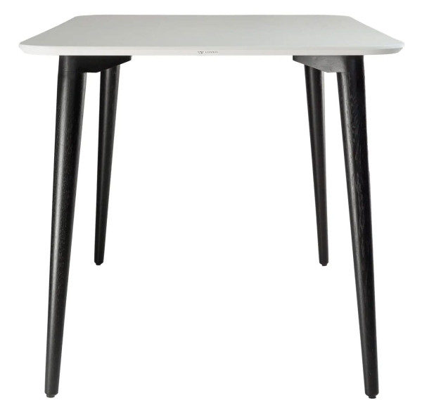 Стіл обідній Lovko Dan Білий/чорний 120х80 см-2