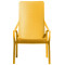 Стул Nardi Net Lounge Senape-4-thumb