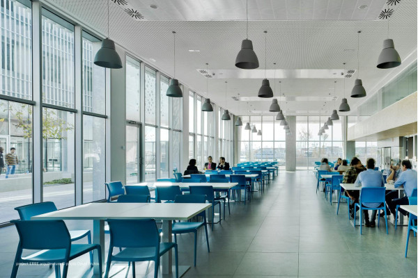 Пластиковый стул Pedrali Ara 310/GС Серый-12