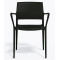 Пластиковый стул Pedrali Ara 315/NE Черный-1-thumb