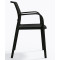 Пластиковый стул Pedrali Ara 315/NE Черный-2-thumb
