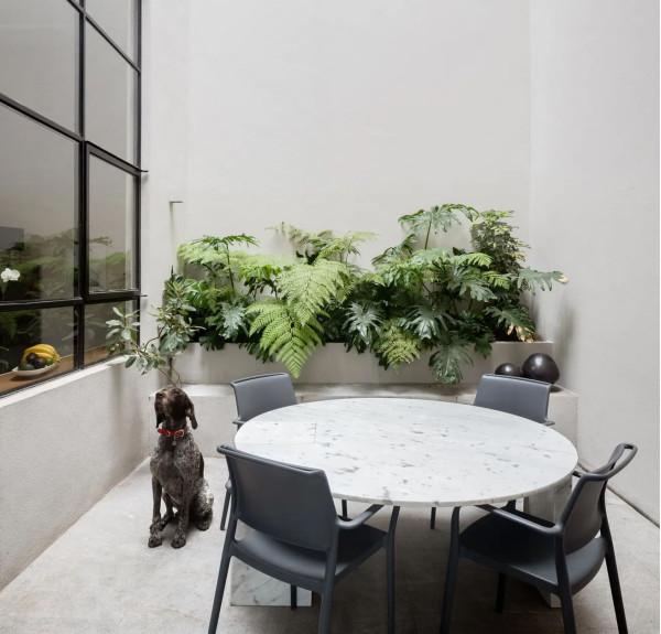 Пластиковий стілець Pedrali Ara 315/GA Сірий-11