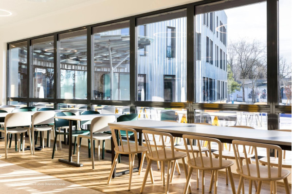 Пластиковий стілець Pedrali Dome 260/VE Зелений-9