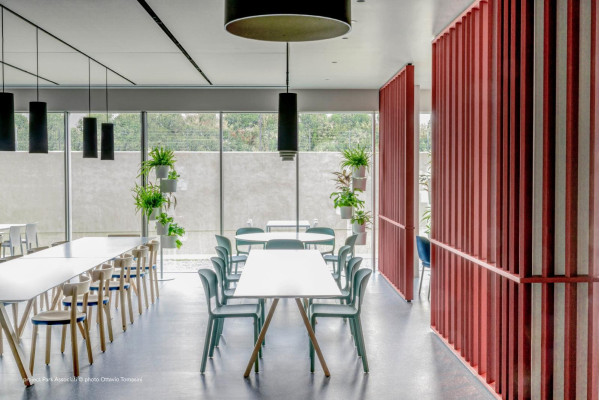 Пластиковый стул Pedrali Dome 260/VE2 Зеленый-7