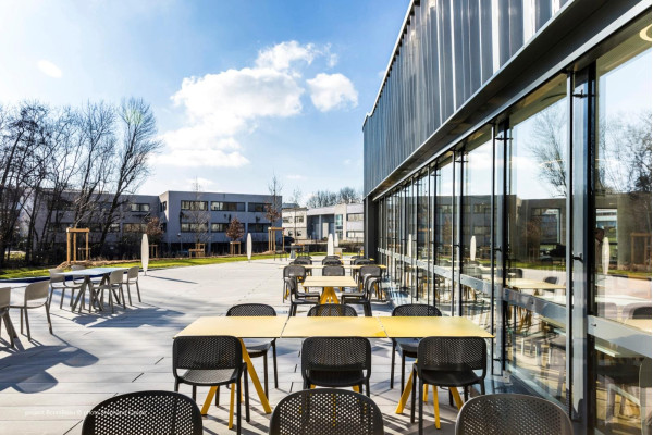 Пластиковий стілець Pedrali Dome 261/BE Сірий-11