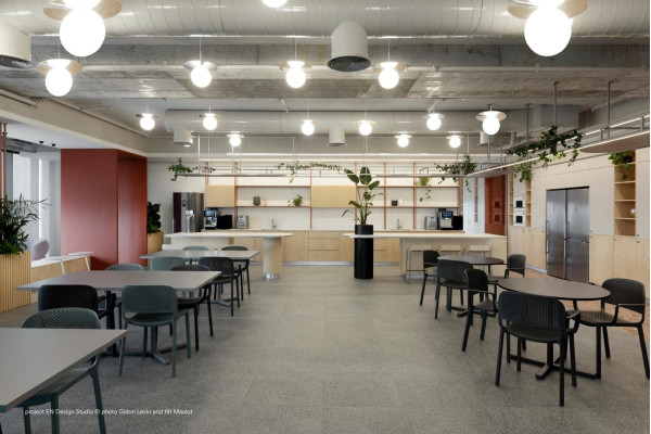 Пластиковий стілець Pedrali Dome 266/VE2 Зелений-7