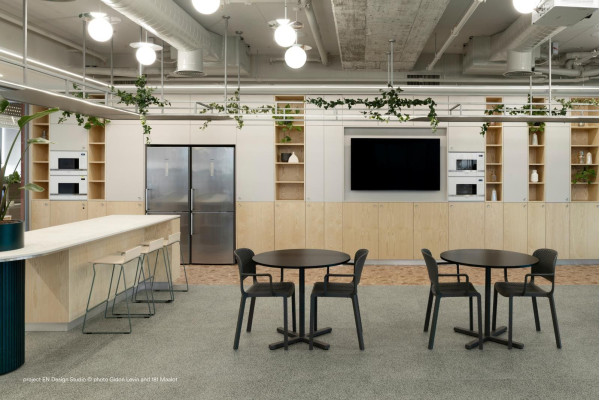 Пластиковий стілець Pedrali Dome 266/VE2 Зелений-6