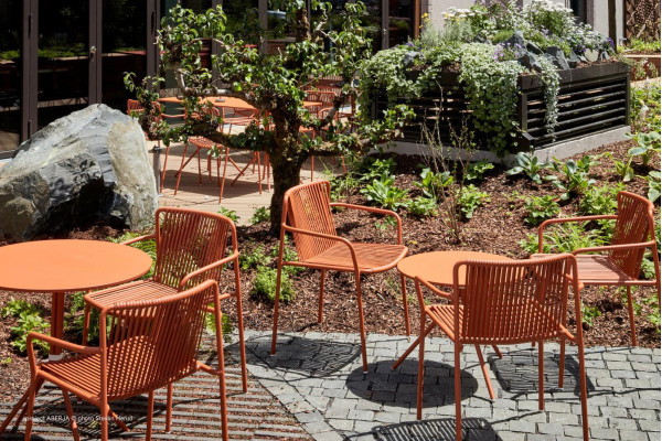 Стул уличный Pedrali Tribeca 3665/TEE Терракотовый-6