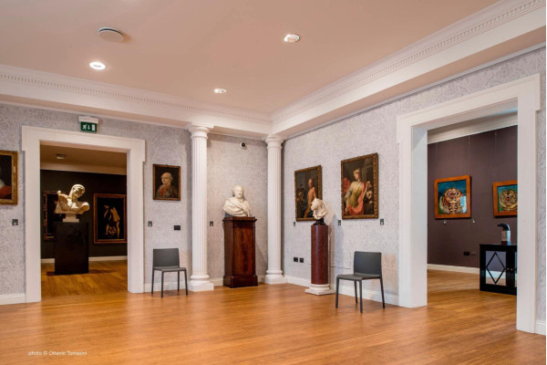 Пластиковий стілець Pedrali Volt 670/GA Сірий-7