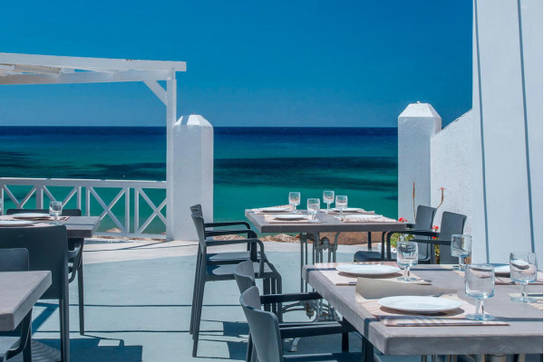 Пластиковый стул Pedrali Volt 675/GA Серый-7