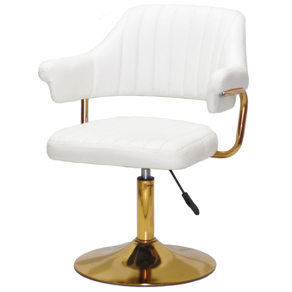 Стул Onder Mebli Jeff GD-BASE Белый Экокожа-1