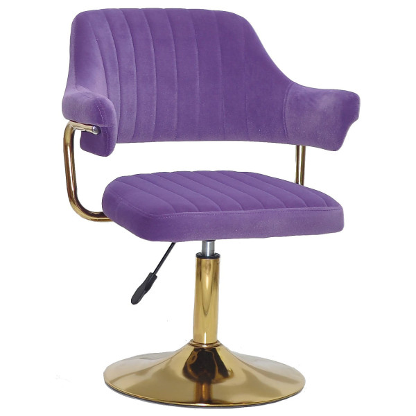Стул Onder Mebli Jeff GD-BASE Пурпурный B-1013 Бархат-0