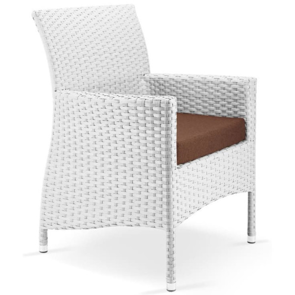 Крісло із ротанга Pradex Омега Біле-0