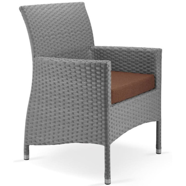 Крісло з ротанга Pradex Омега Сіре-0