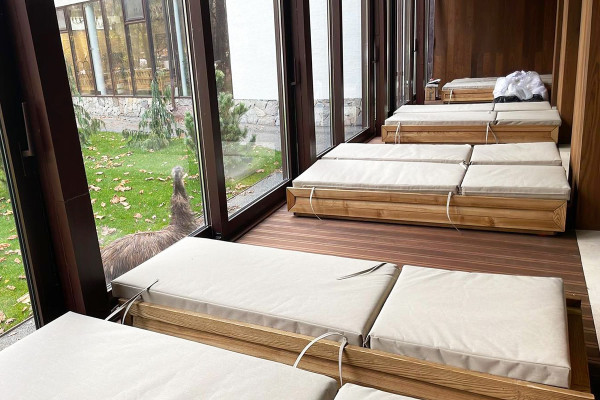 Шезлонг Pradex Мадера-2